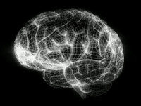 Human_Brain_Project_graphic_250x.jpg