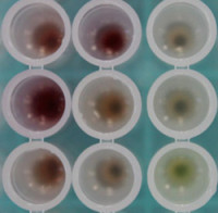 testtubes_cropped_250x