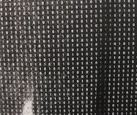 biary distortion 250x