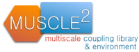 muscle6