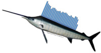 sailfish-logo_300x158