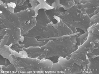 IBM new polymer reinforced 400x