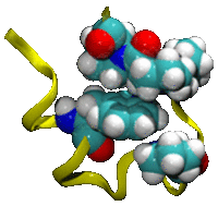 protein folding graphic