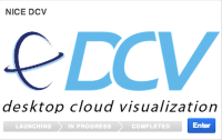 NICE Test Drive DCV