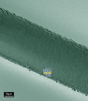 Carbon nanotube circuit compared to human hair.  Source: IBM