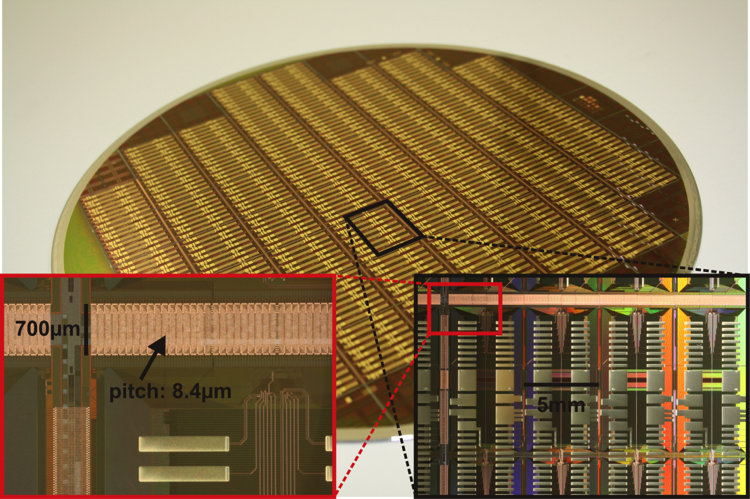 BrainScaleS post-processed wafer containing about 20 million plastic synapses.