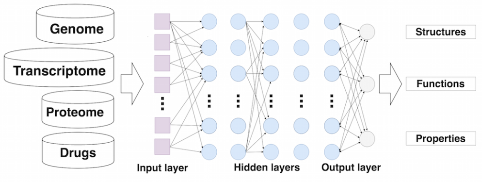 Study design: Gene expression data from LINCS Project was linked to 12 MeSH therapeutic use categories. DNN was trained separately on gene expression level data for “landmark genes” and pathway activation scores for significantly perturbed samples, forming an input layers of 977 and 271 neural nodes, respectively.