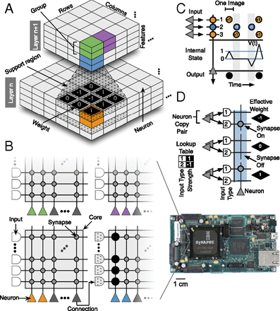 Fig. 1. (A) Two layers of a convolutional network. Colors (green, purple, blue, orange) designate neurons (individual boxes) belonging to the same group (partitioning the feature dimension) at the same location (partitioning the spatial dimensions). (B) A TrueNorth chip (shown far right socketed in IBM’s NS1e board) comprises 4,096 cores, each with 256 inputs, 256 neurons, and a 256 × 256 synaptic array. Convolutional network neurons for one group at one topographic location are implemented using neurons on the same TrueNorth core (TrueNorth neuron colors correspond to convolutional network neuron colors in A), with their corresponding filter support region implemented using the core’s inputs, and filter weights implemented using the core’s synaptic array. (C) Neuron dynamics showing that the internal state variable V(t) of a TrueNorth neuron changes in response to positive and negative weighted inputs. Following input integration in each tick, a spike is emitted if V(t) is greater than or equal to the threshold θ=1. V(t) is reset to 0 before input integration in the next tick. (D) Convolutional network filter weights (numbers in black diamonds) implemented using TrueNorth, which supports weights with individually configured on/off state and strength assigned by lookup table. In our scheme, each feature is represented with pairs of neuron copies. Each pair connects to two inputs on the same target core, with the inputs assigned types 1 and 2, which via the look up table assign strengths of +1 or −1 to synapses on the corresponding input lines. By turning on the appropriate synapses, each synapse pair can be used to represent −1, 0, or +1.