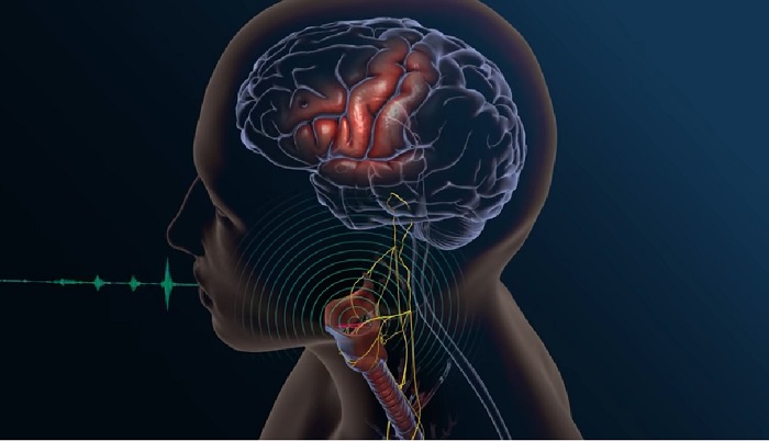 ai-used-to-convert-brain-signals-to-speech
