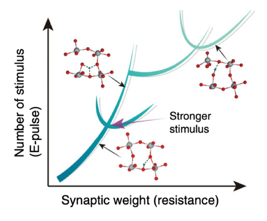 UC San Diego Team Uses Quantum Materials to Create 'Neural Trees