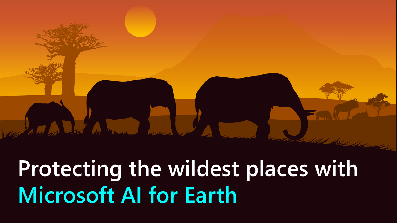 Protecting the wildest places with Microsoft AI for Earth