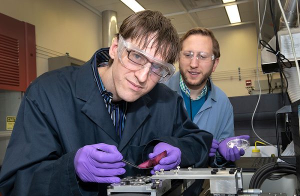Researchers Utilize AI to Discover New Self-assembled Nanostructures