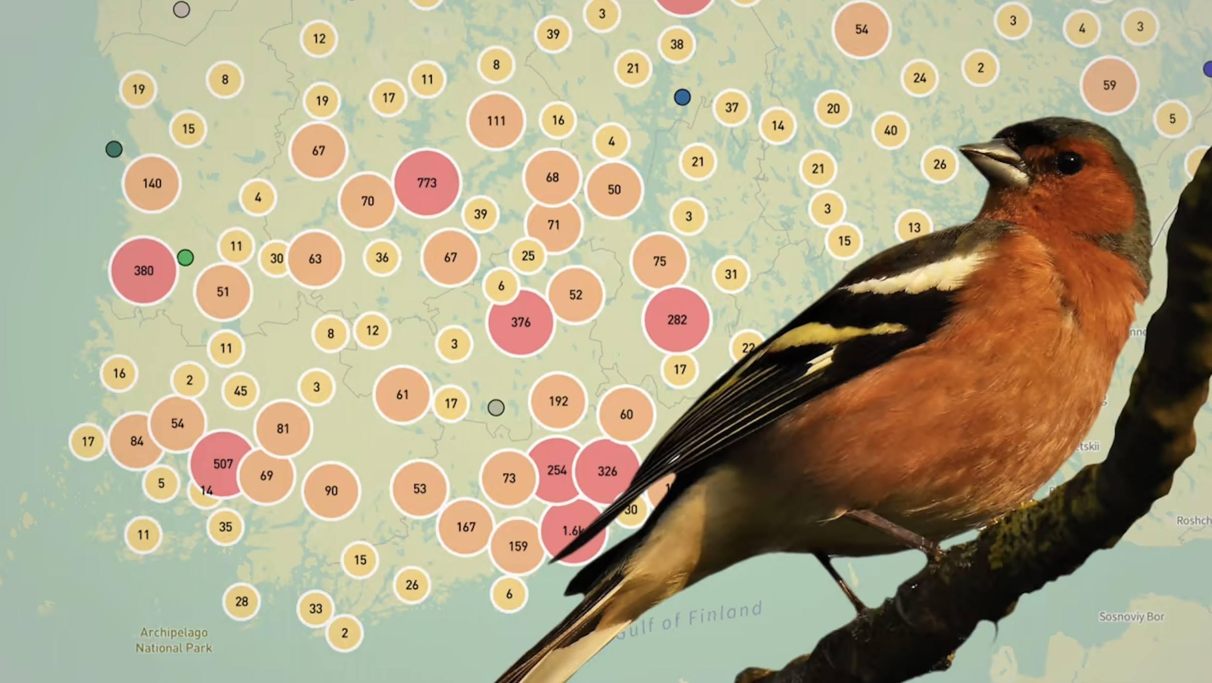 Citizen Science Meets ML: Finnish Mobile App Tracks Migratory Bird  Responses to Climate Change