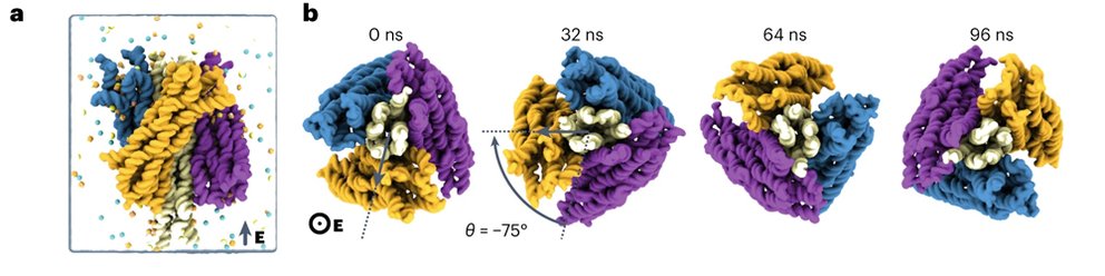 Molecular Dynamics Simulation Boundary Friction
