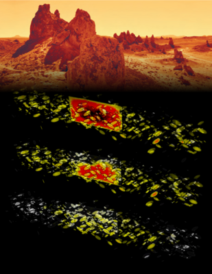 HPC simulations at the LRZ explore the behavior and hazards of successive earthquakes HPC simulations at the LRZ explore the behavior and hazards of successive earthquakes